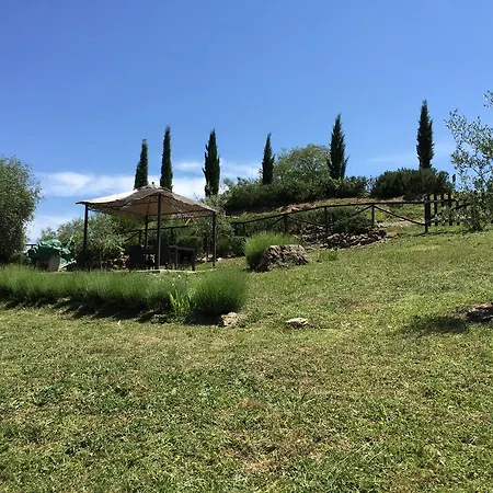 Casa Cinzia Apartment Castellina in Chianti