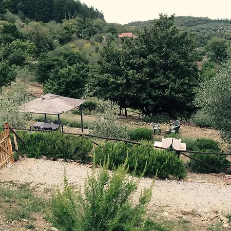 Appartamento Casa Cinzia *